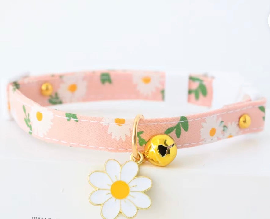 Cat Collar/ Small Dog Collar