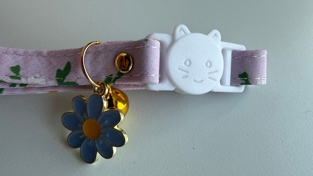 Cat Collar/ Small Dog Collar