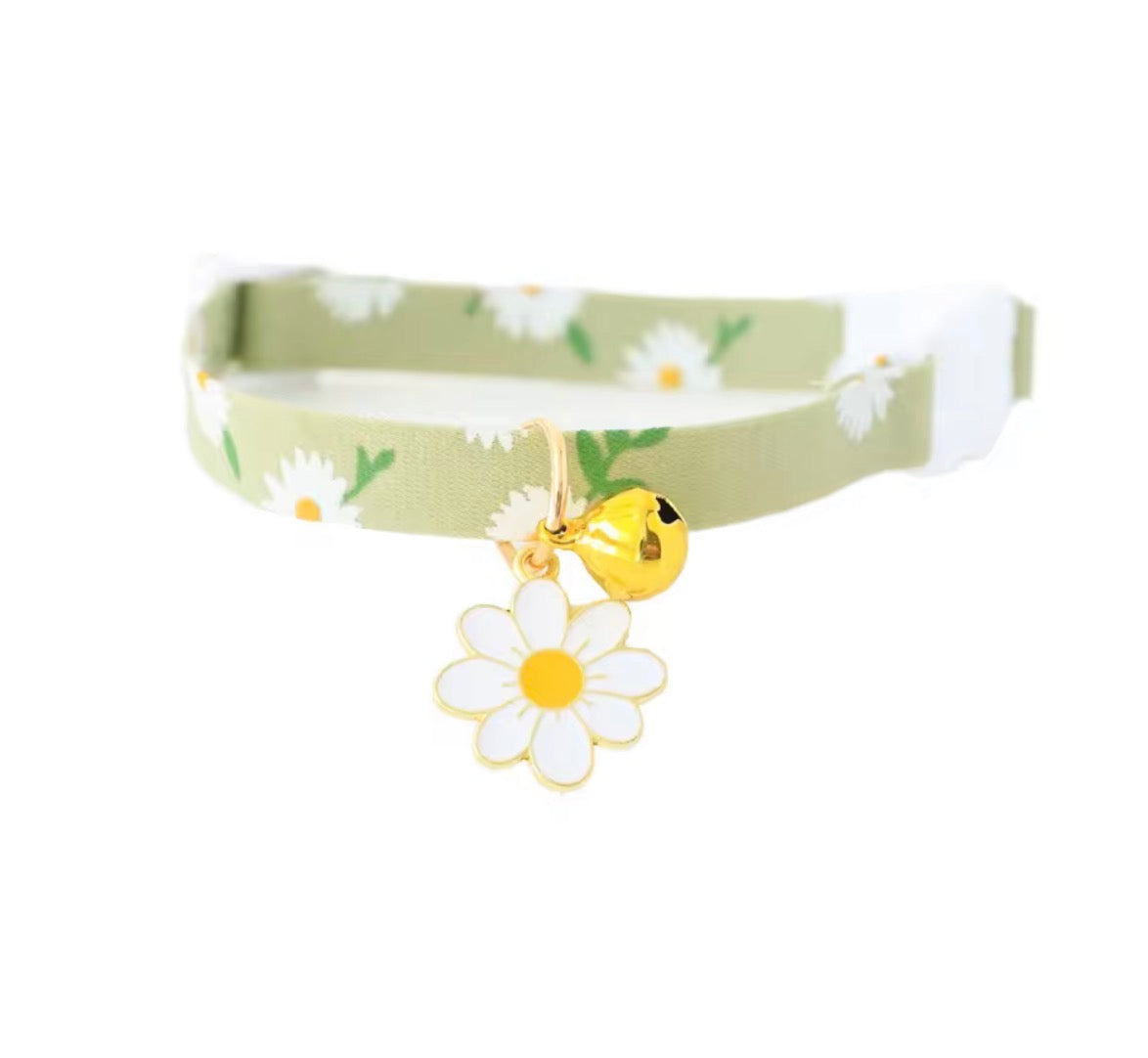 Cat Collar/ Small Dog Collar