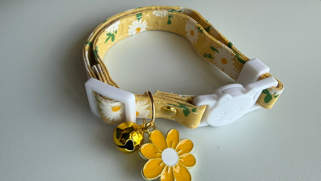 Cat Collar/ Small Dog Collar