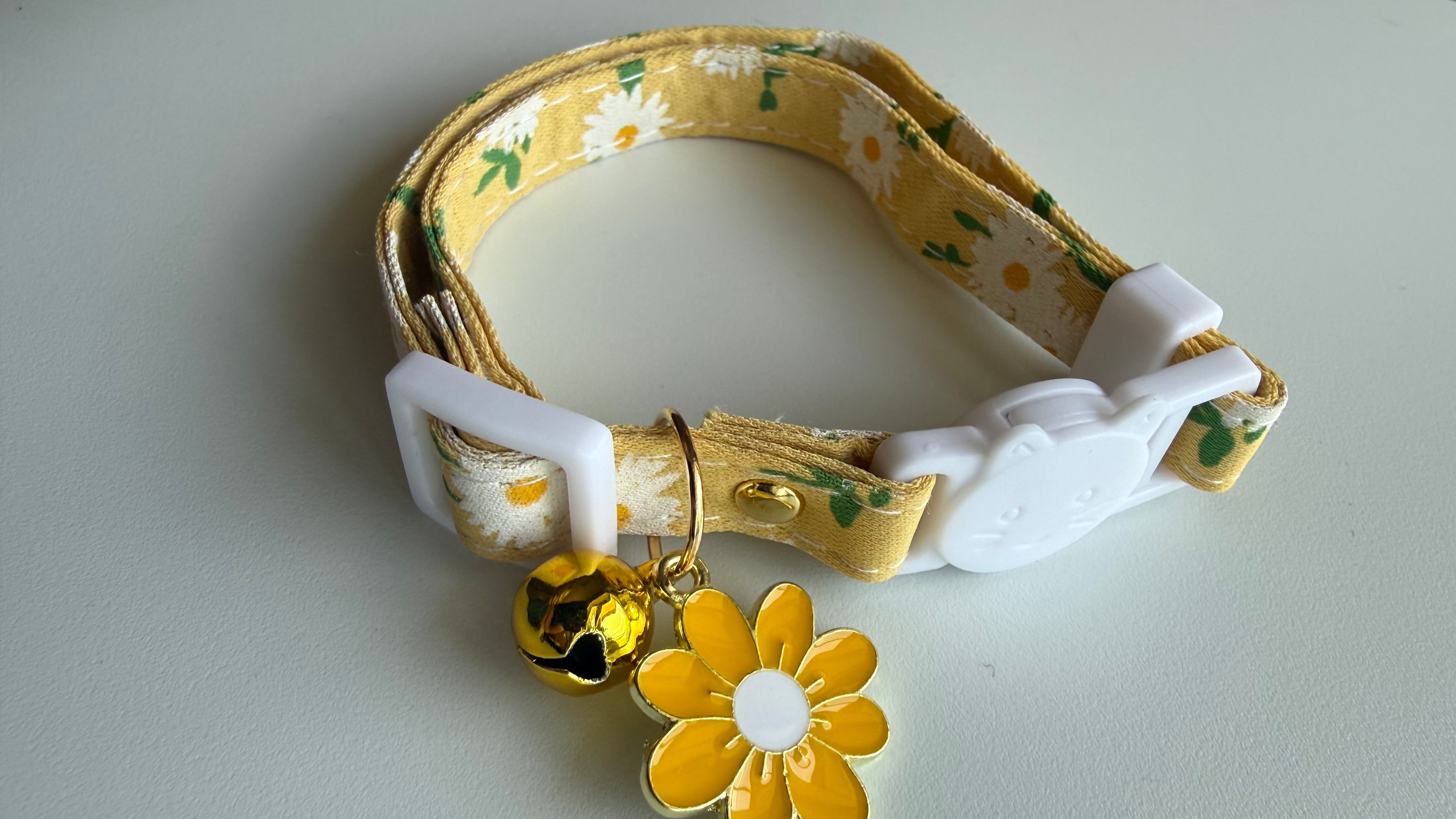 Cat Collar/ Small Dog Collar