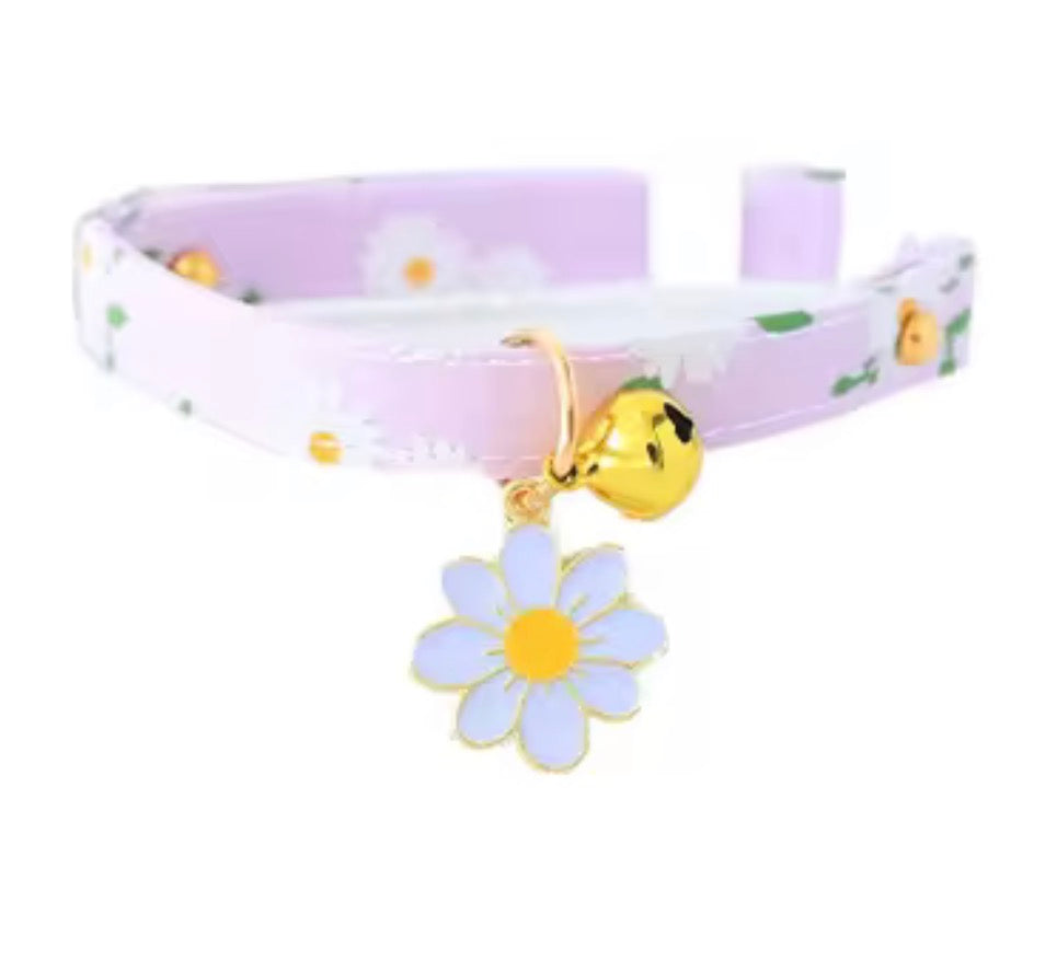 Cat Collar/ Small Dog Collar